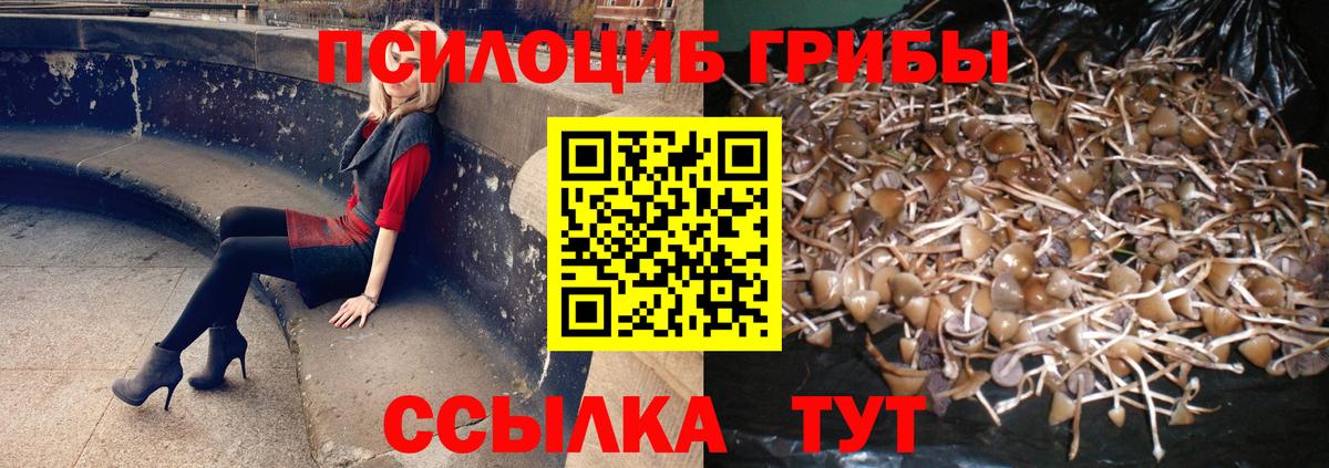 Псилоцибиновые грибы MAGIC MUSHROOMS  Вход с VPN  Арсеньев 