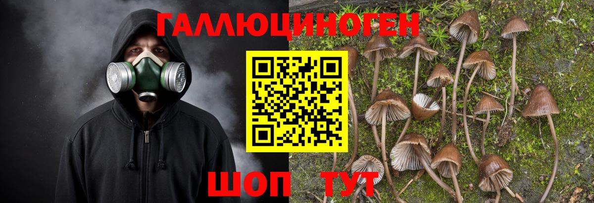 Псилоцибиновые грибы Magic Shrooms Арсеньев